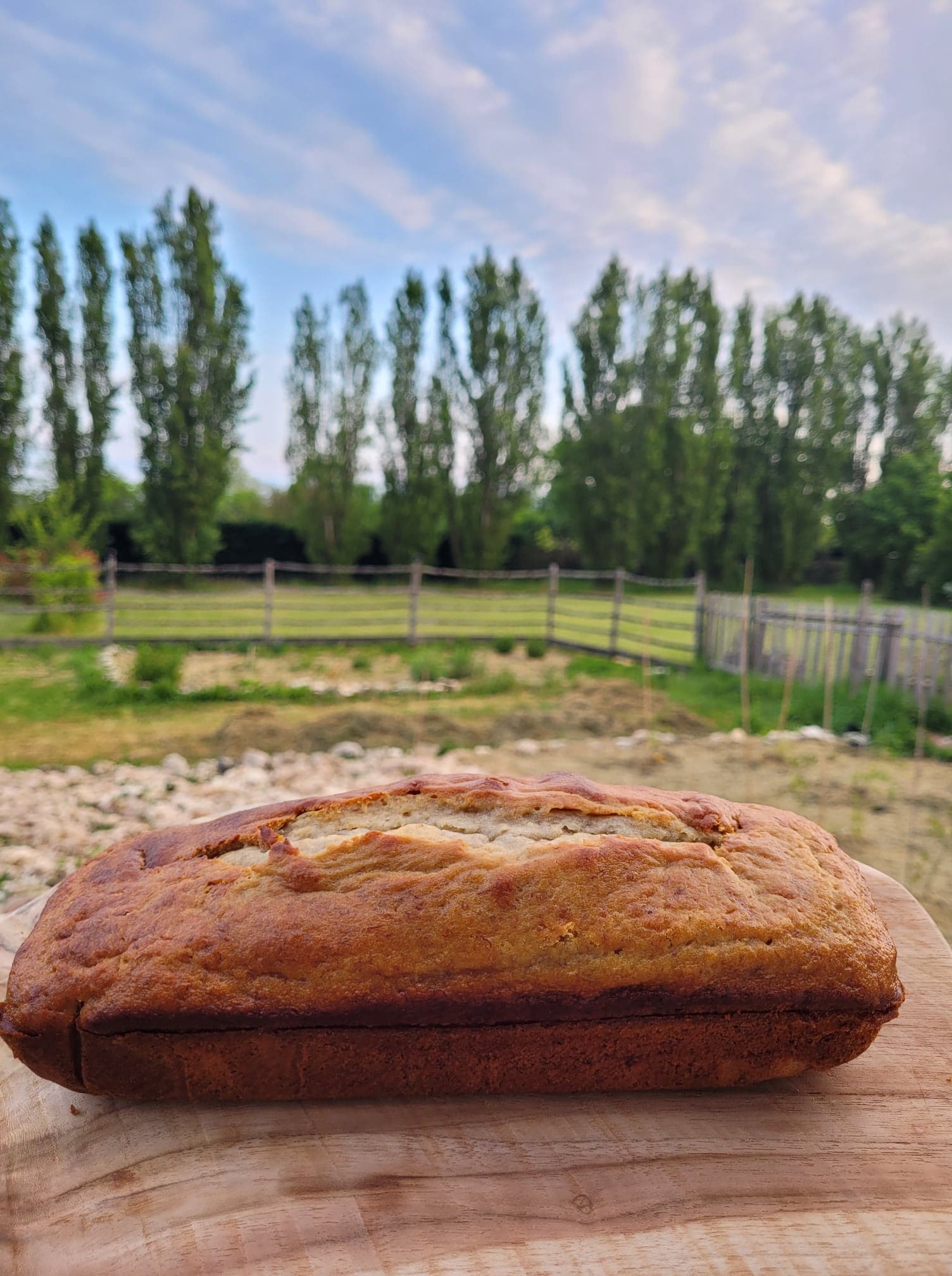 280038563_5450461001640424_4288802789302476193_n